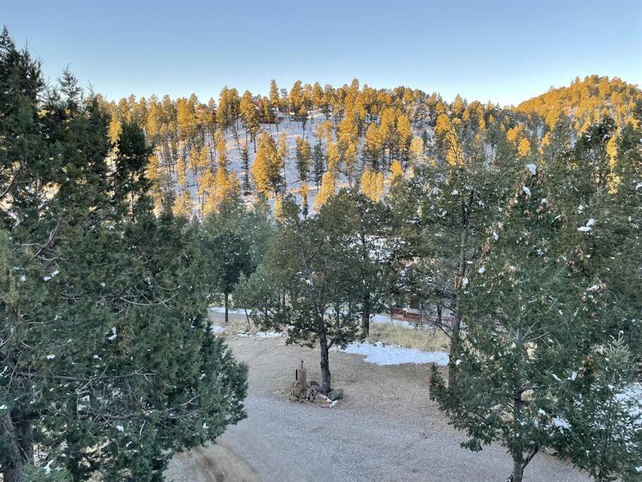 רואידוסו Perk Canyon Hidden Acres-Hot Tub-Gas Fireplace מראה חיצוני תמונה