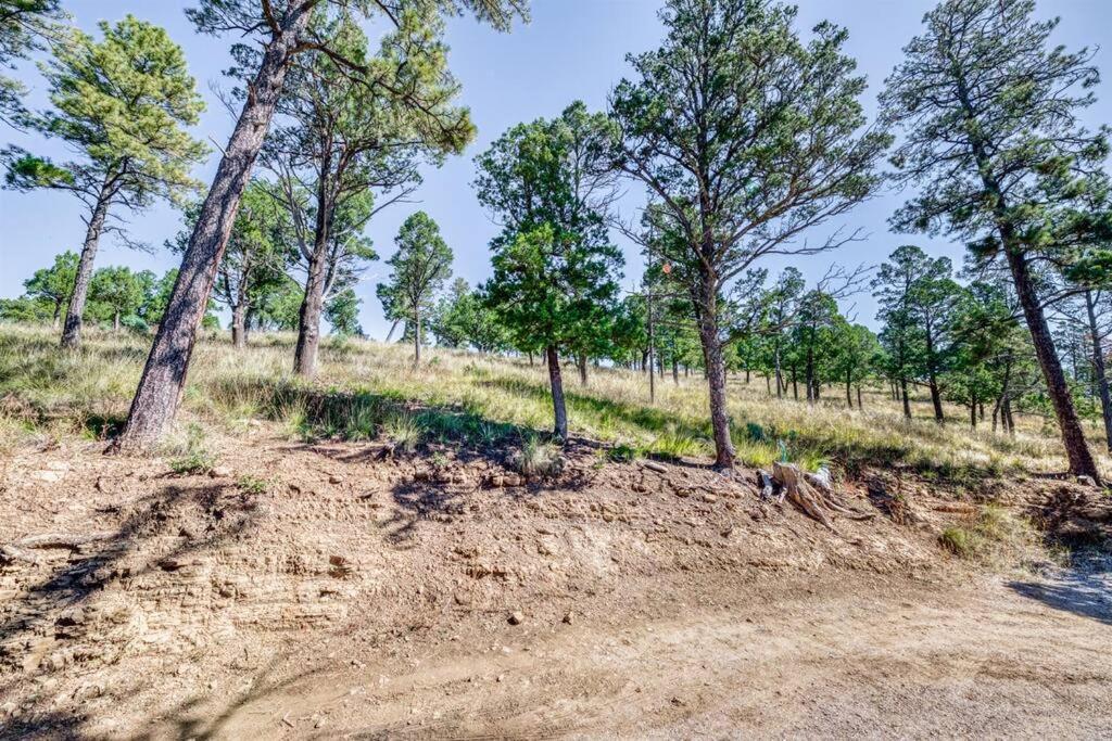 רואידוסו Perk Canyon Hidden Acres-Hot Tub-Gas Fireplace מראה חיצוני תמונה
